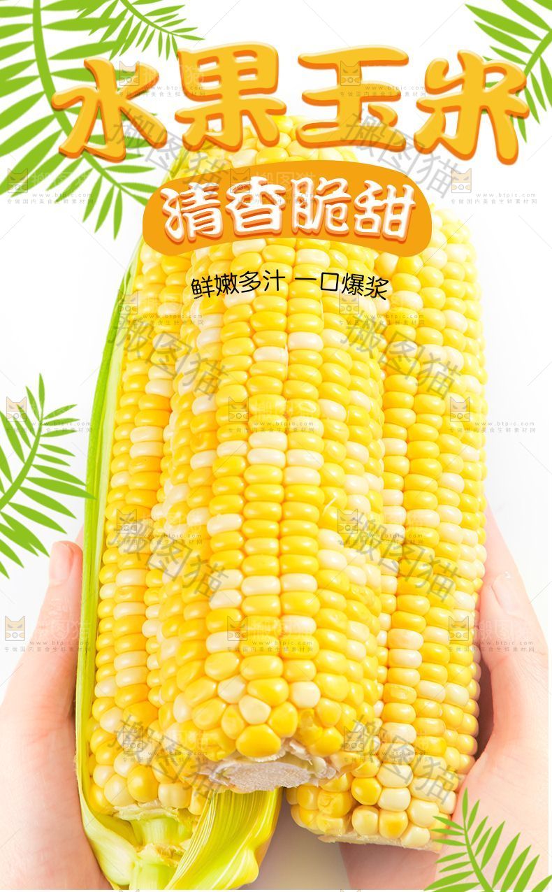 水果玉米详情页设计