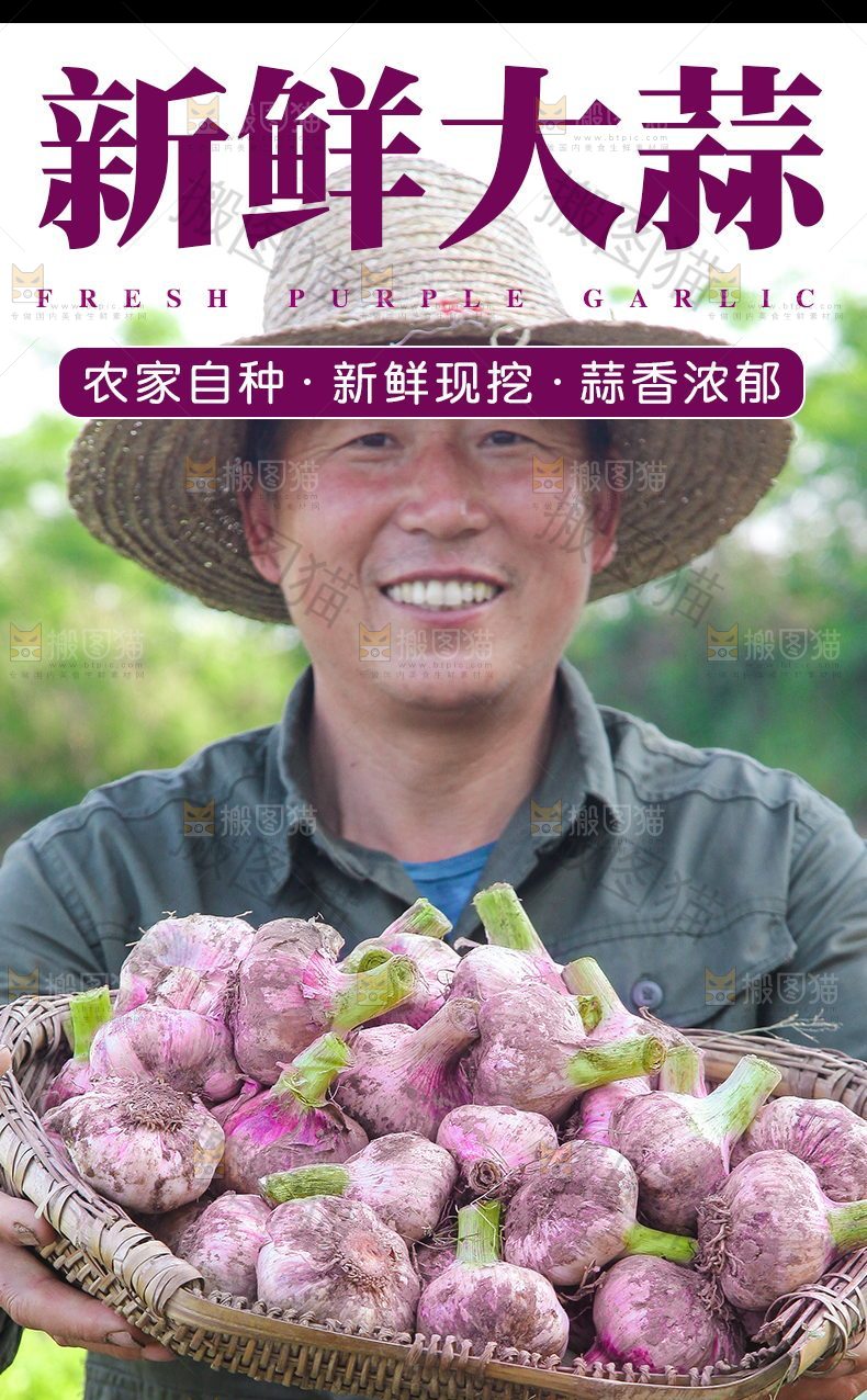 新鲜大蒜详情页设计