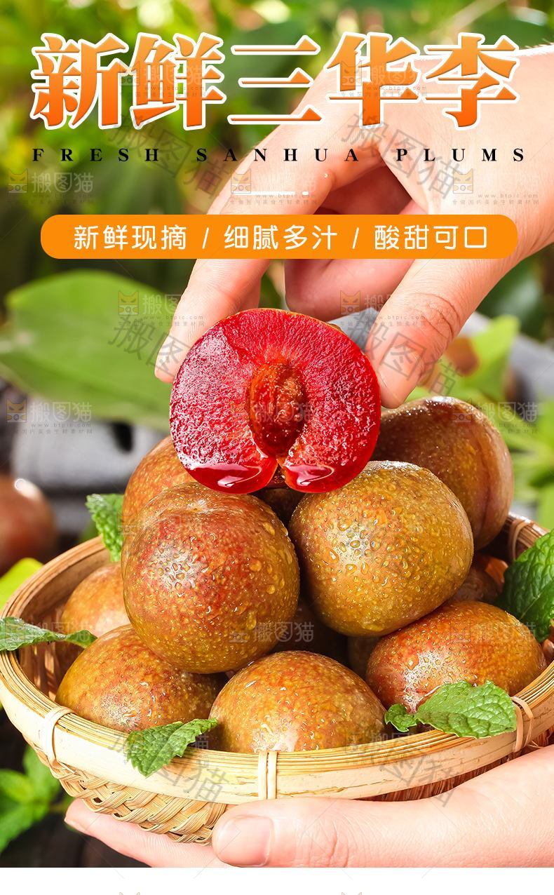 新鲜三华李详情页