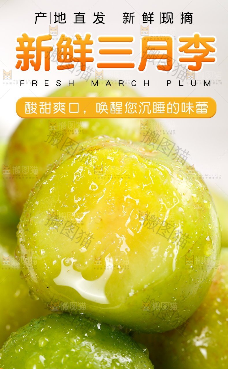 新鲜三月李详情页