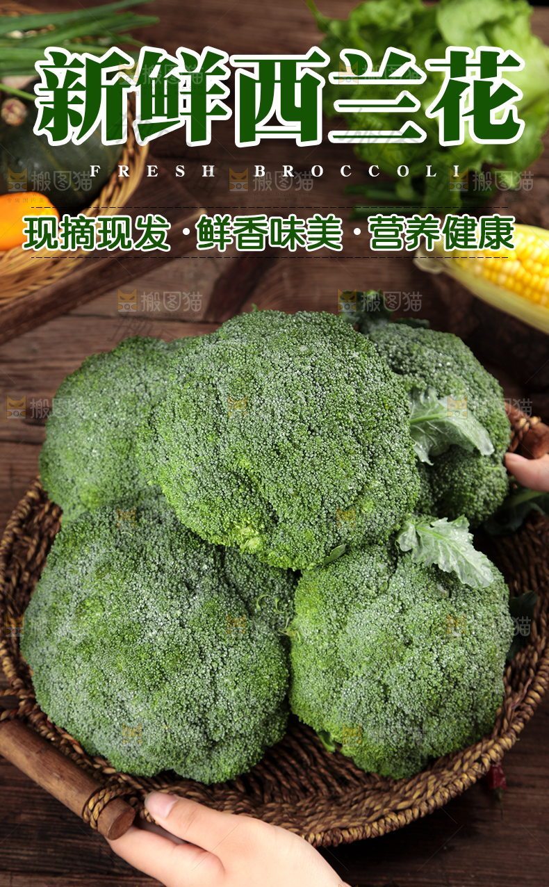 新鲜西兰花详情