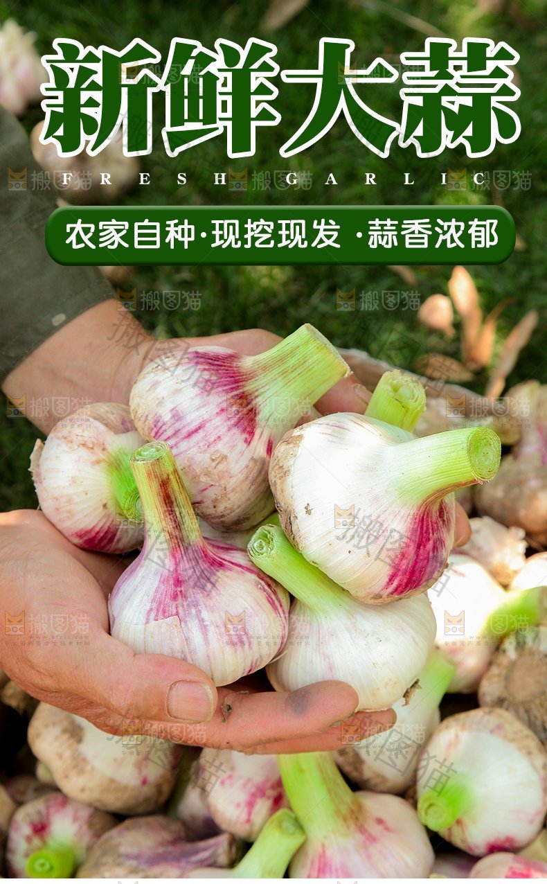 新鲜大蒜详情页设计