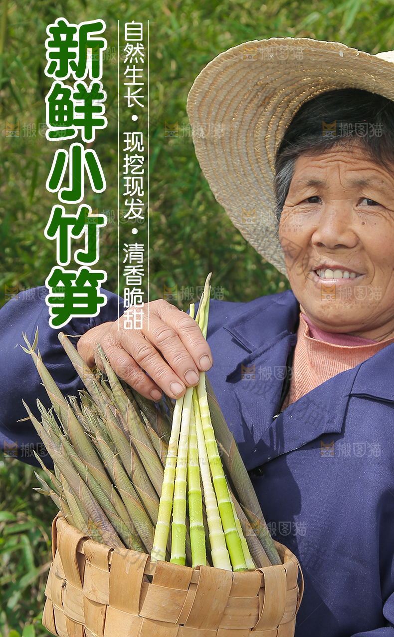 新鲜小竹笋详情