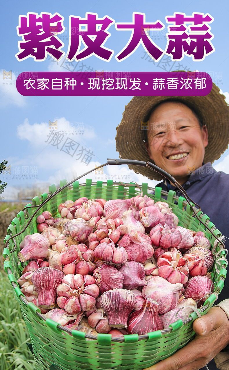 紫皮大蒜详情页
