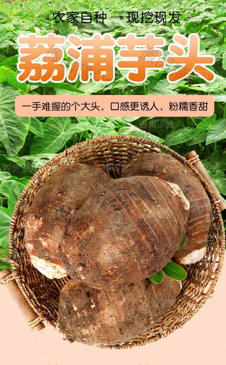 荔浦芋头详情页设计