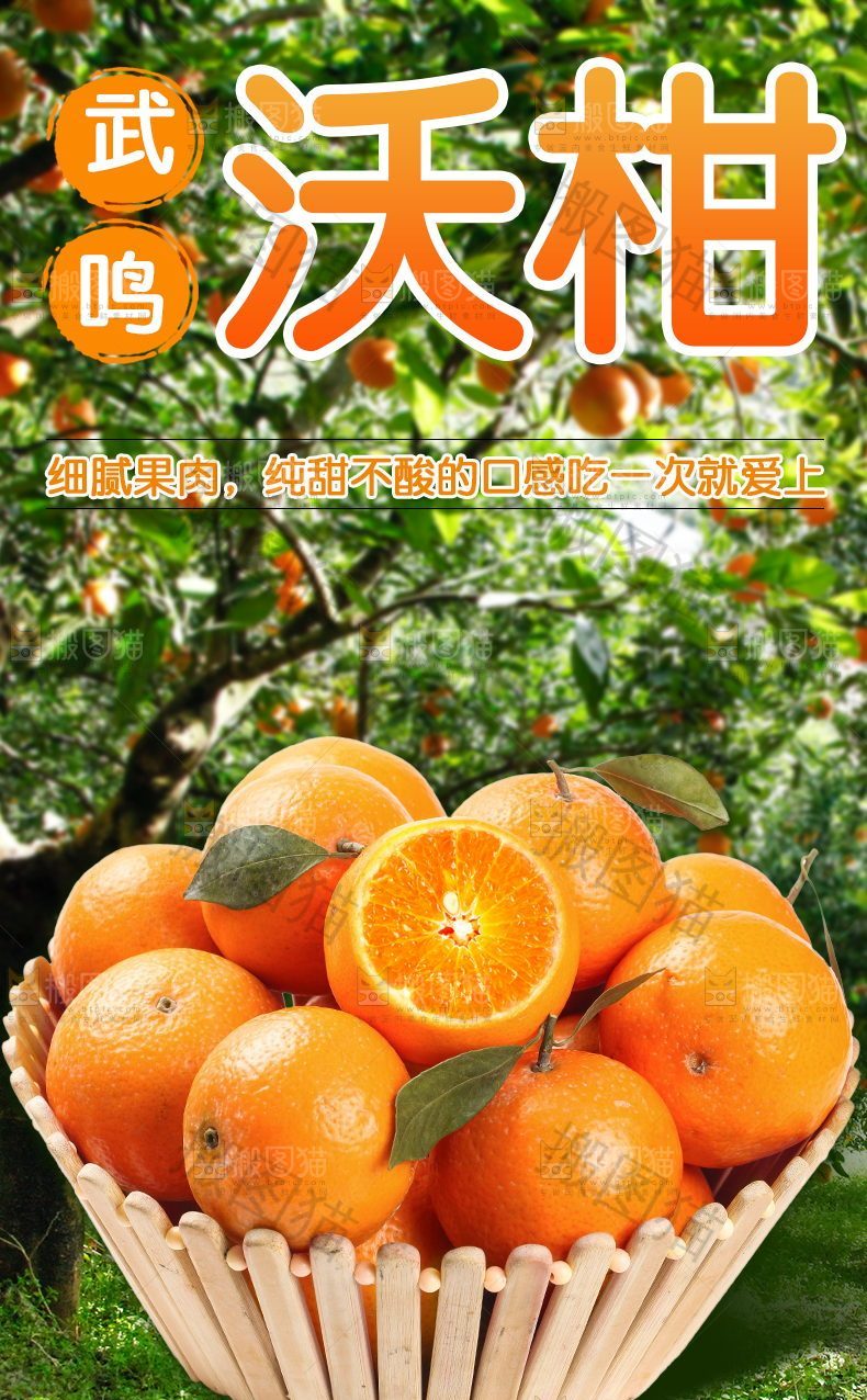 武鸣沃柑详情