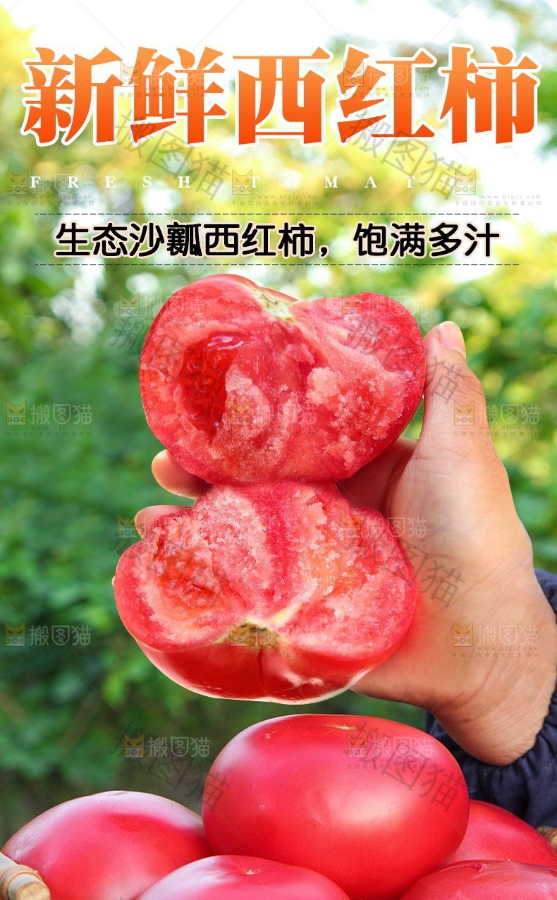 新鲜西红柿详情