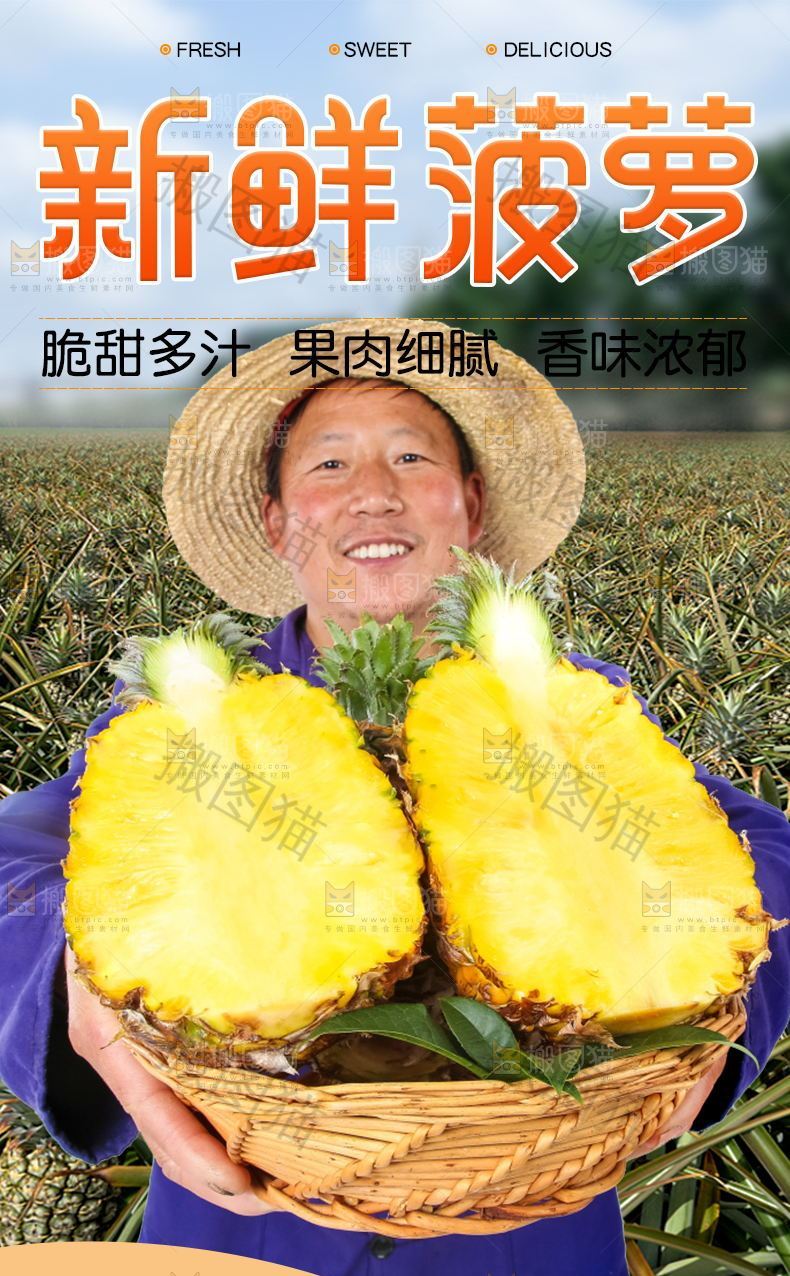新鲜菠萝详情