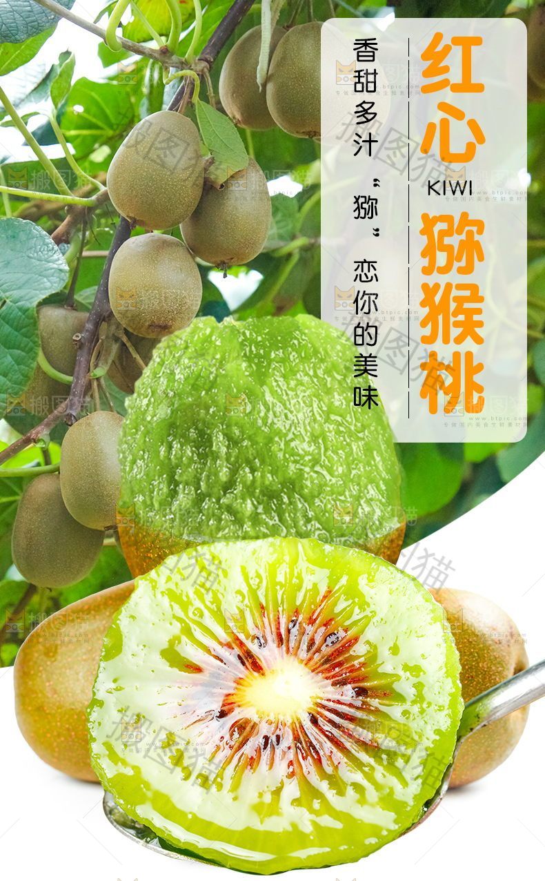 红心猕猴桃详情页