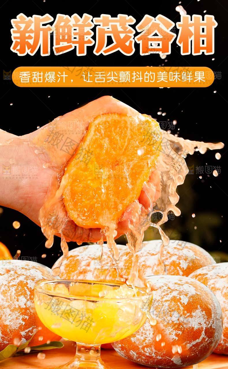 新鲜茂谷柑详情