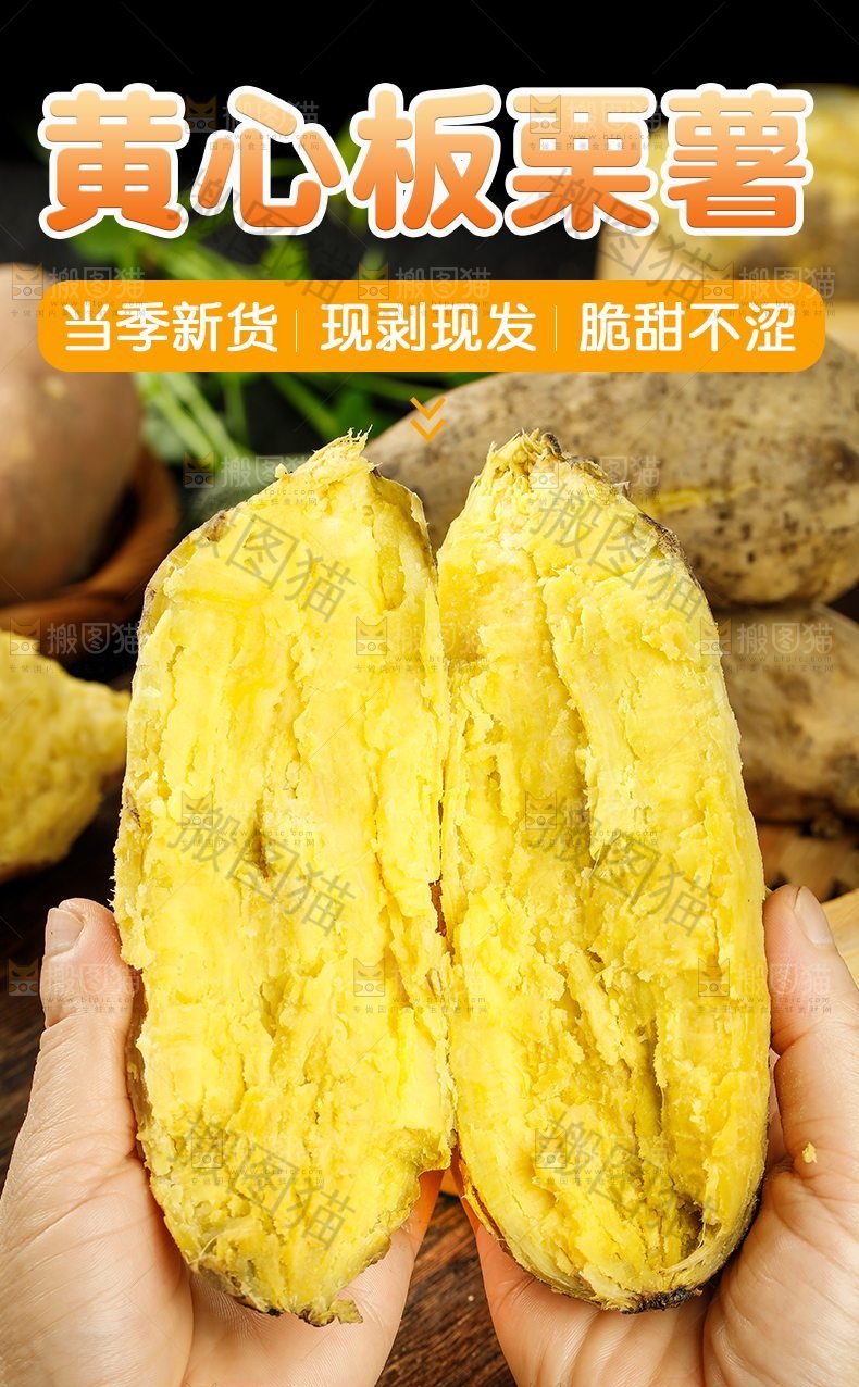 黄心板栗薯详情
