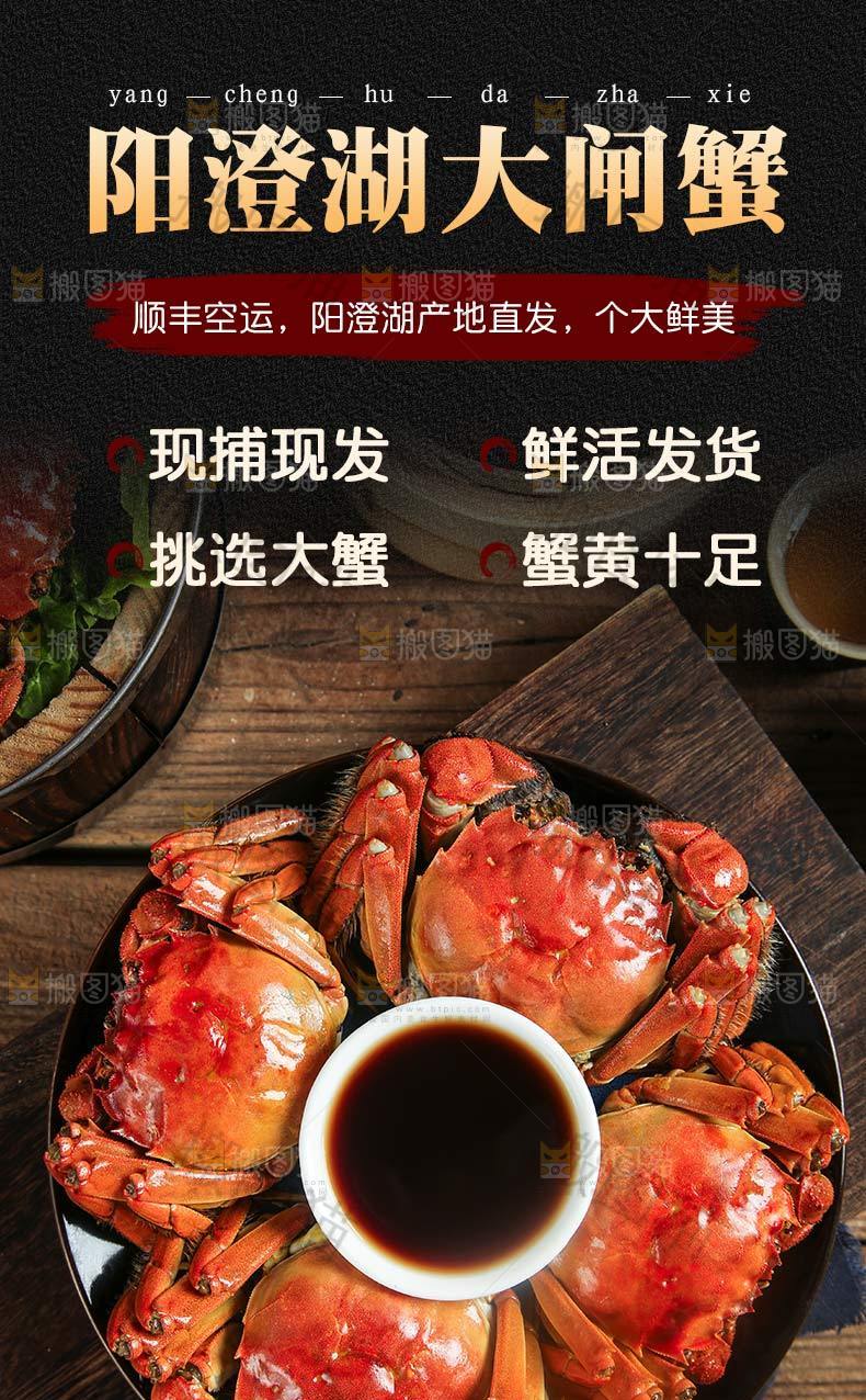 阳澄湖大闸蟹详情