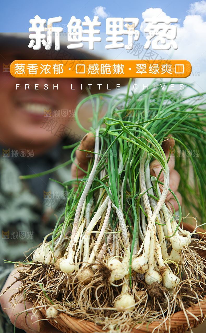 新鲜野葱详情页