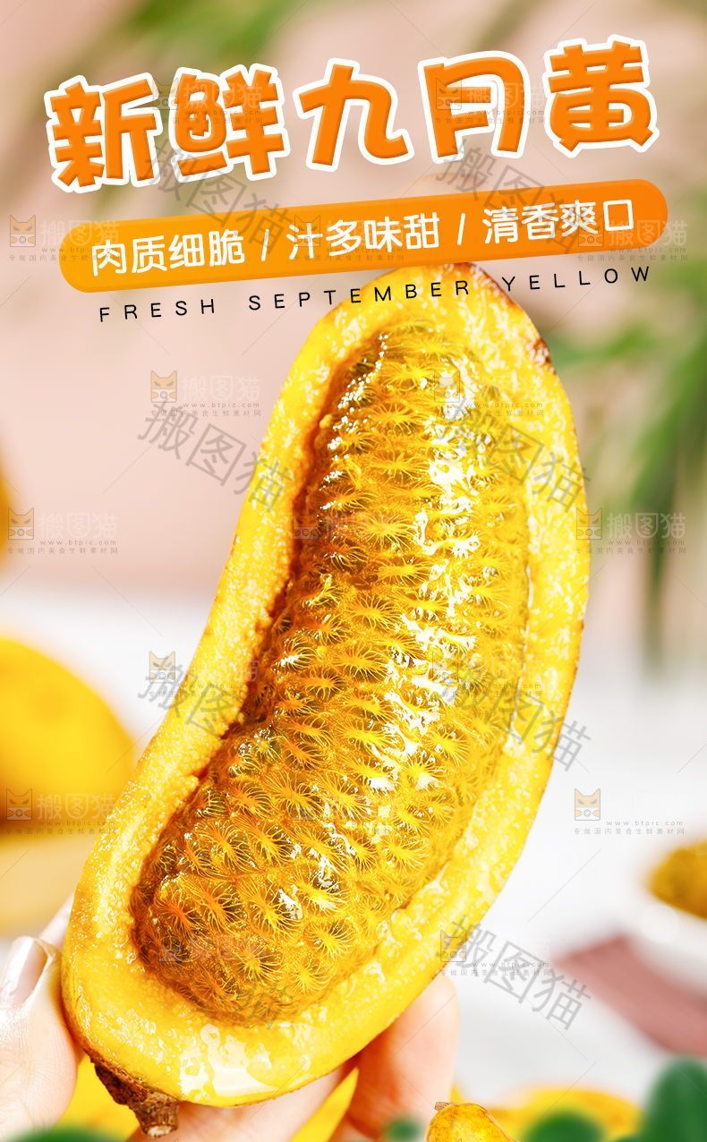 新鲜九月黄详情