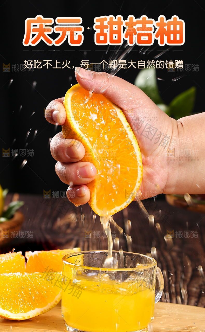 庆元甜桔柚详情