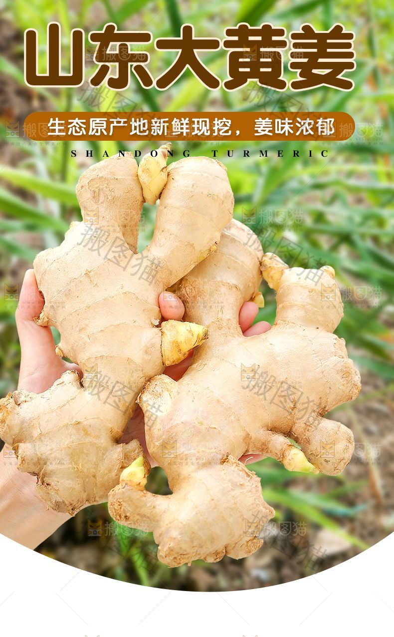 山东大黄姜详情