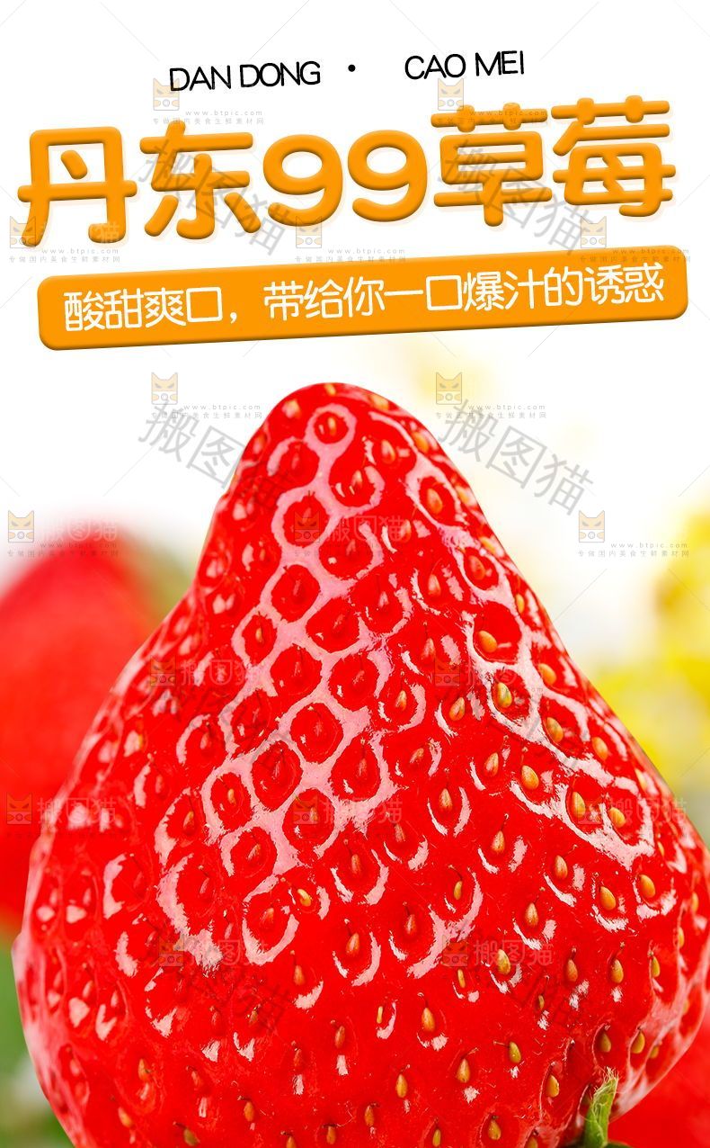 丹东99草莓详情页