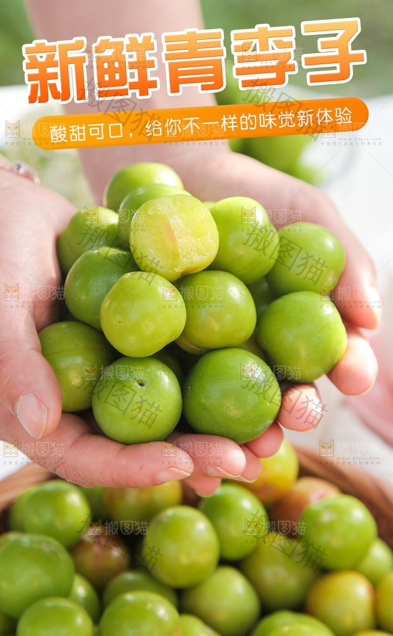 新鲜青李子详情
