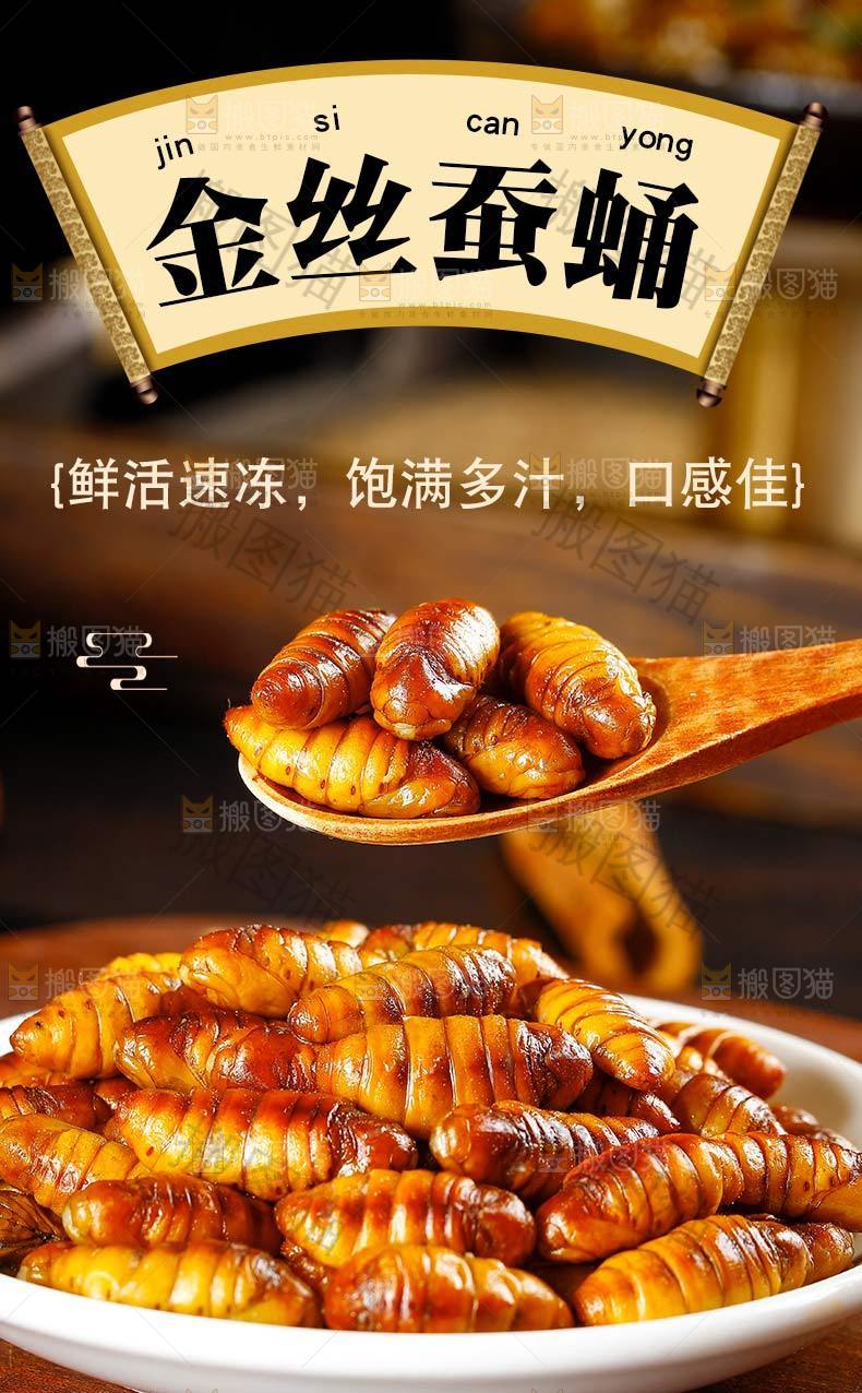 金丝蚕蛹详情