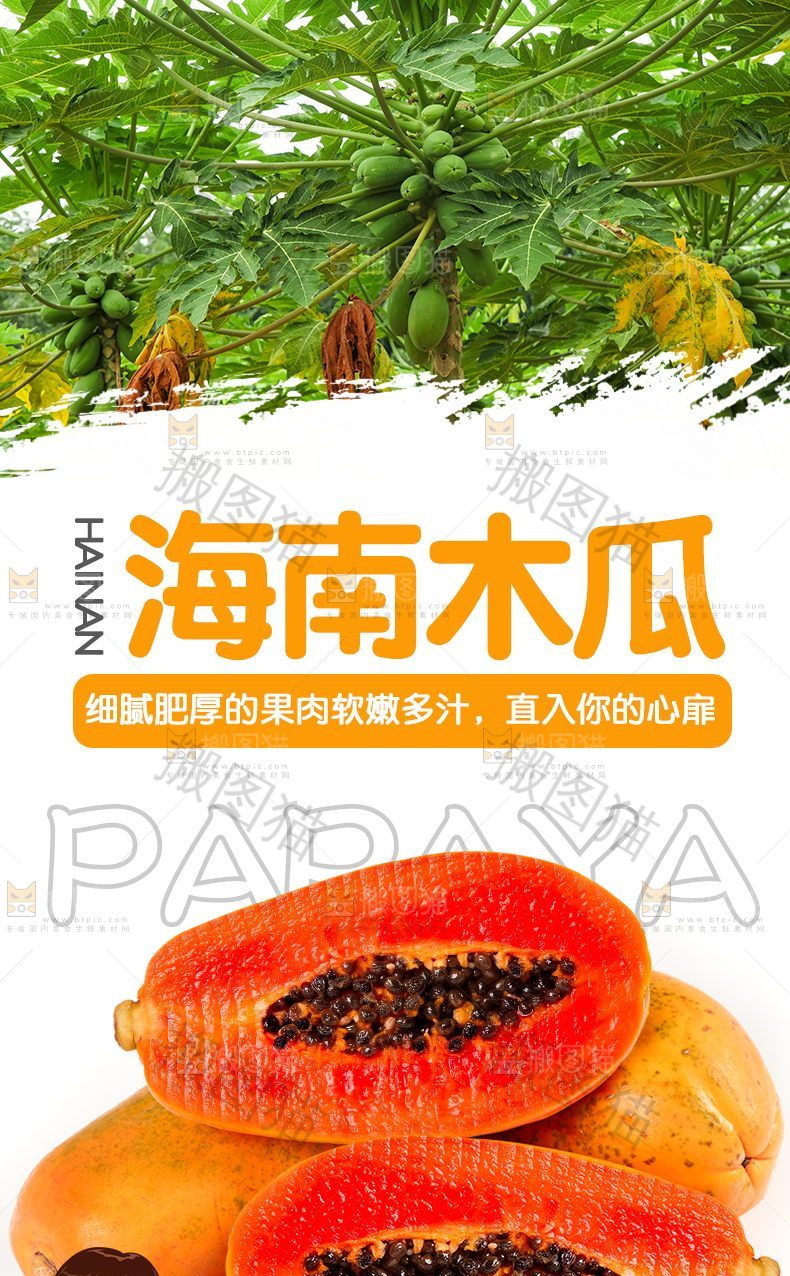 海南木瓜详情页设计