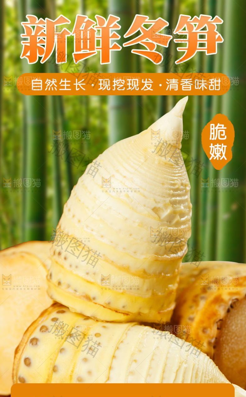 新鲜冬笋详情页