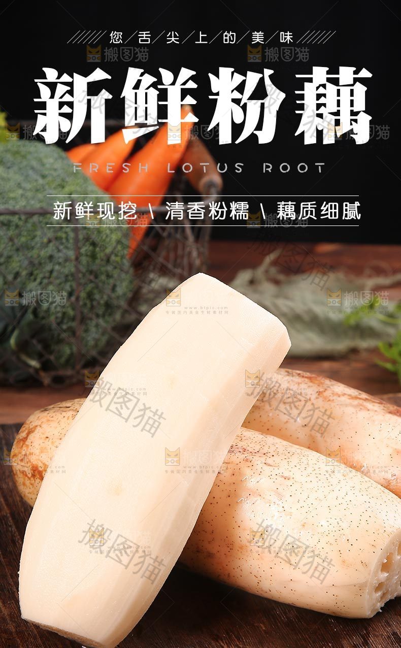 新鲜粉藕