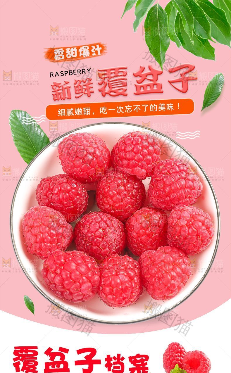 新鲜覆盆子详情