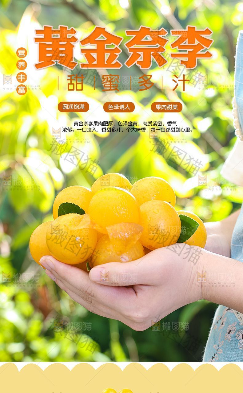 黄金奈李详情