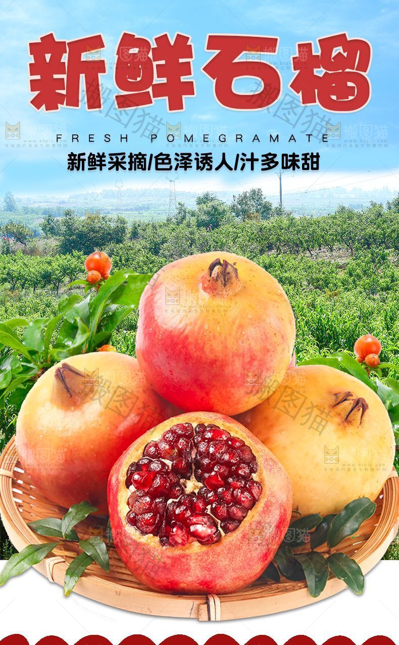 新鲜石榴