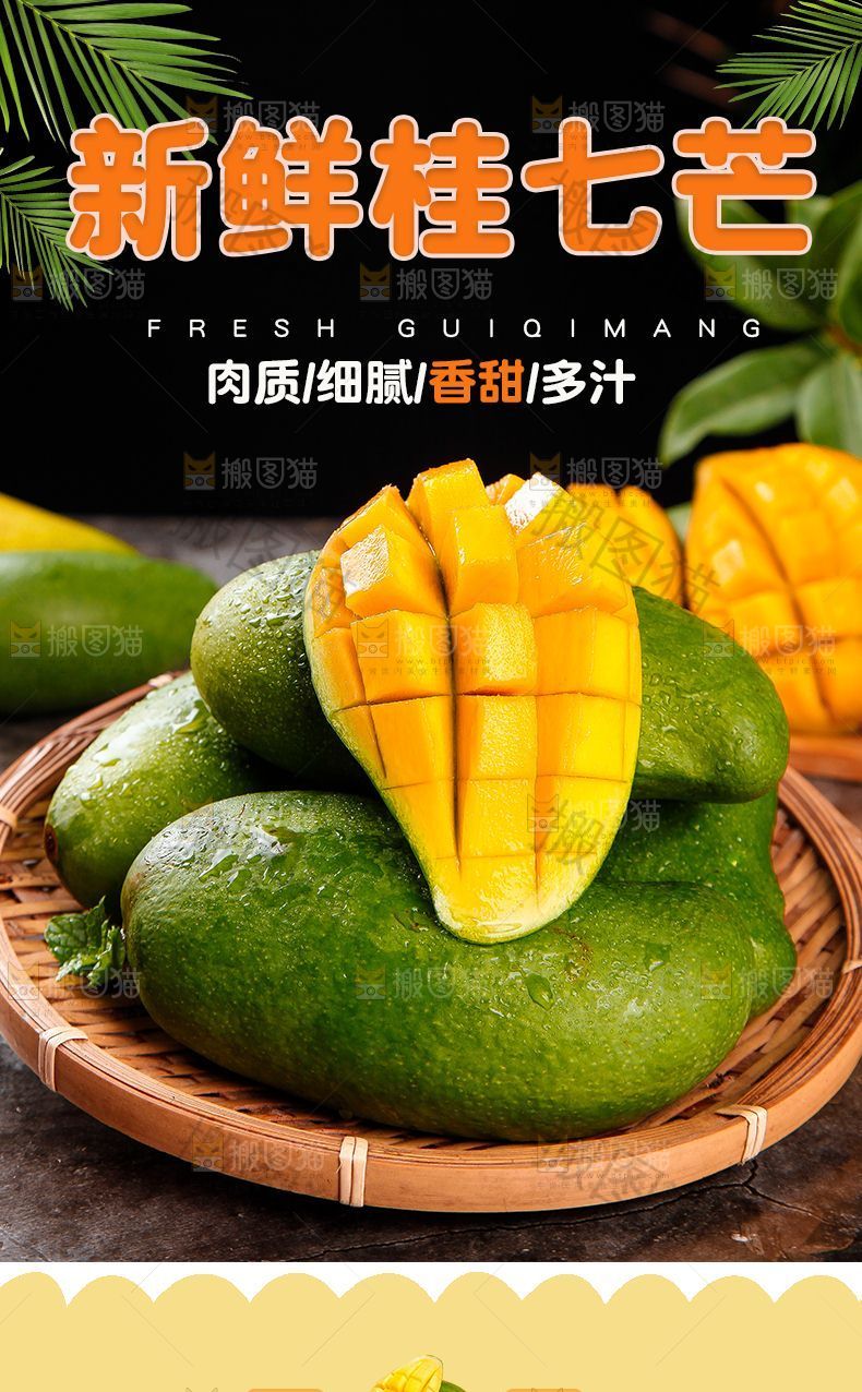 新鲜桂七芒