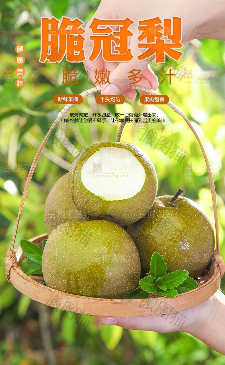 脆冠梨详情