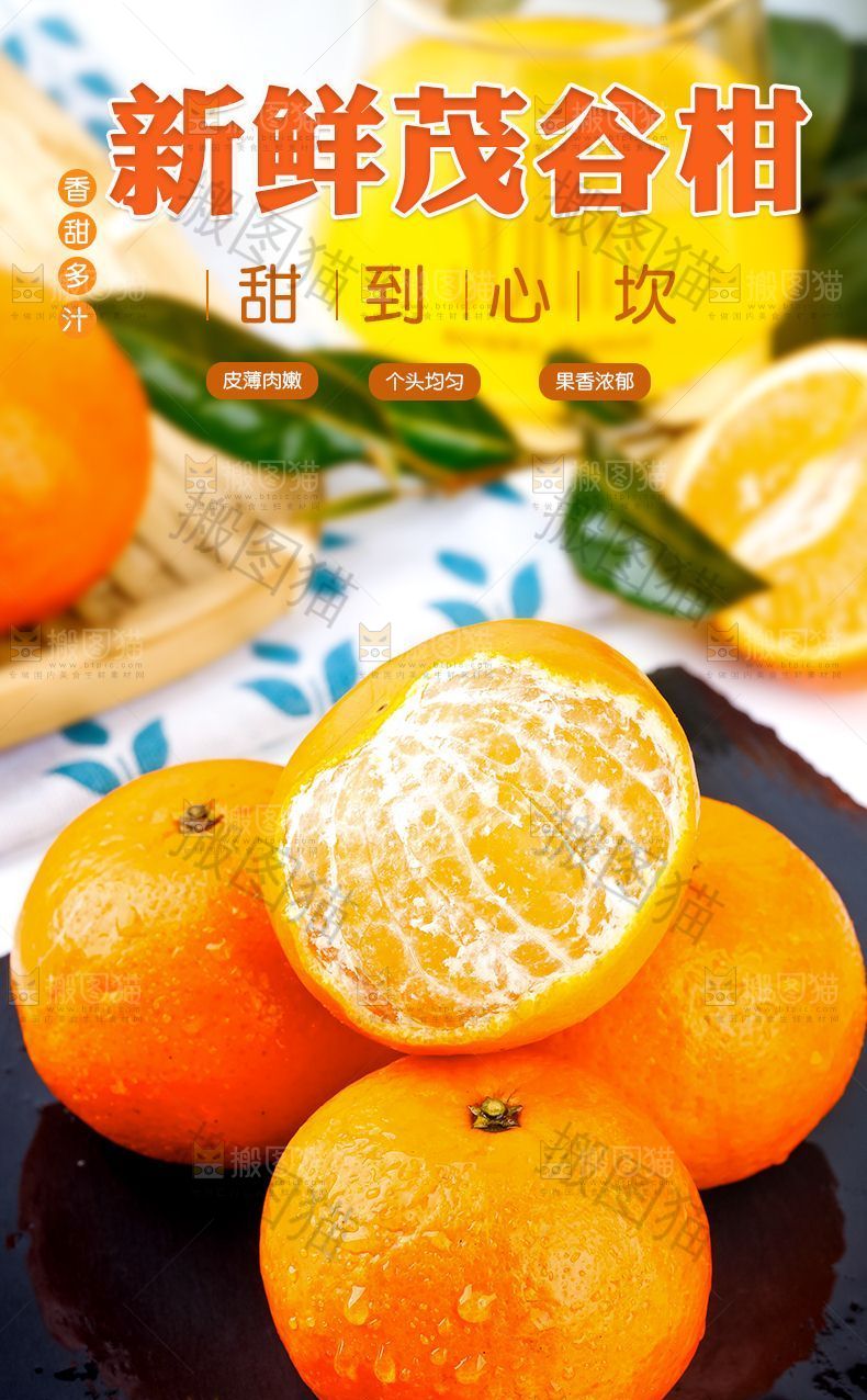 新鲜茂谷柑详情
