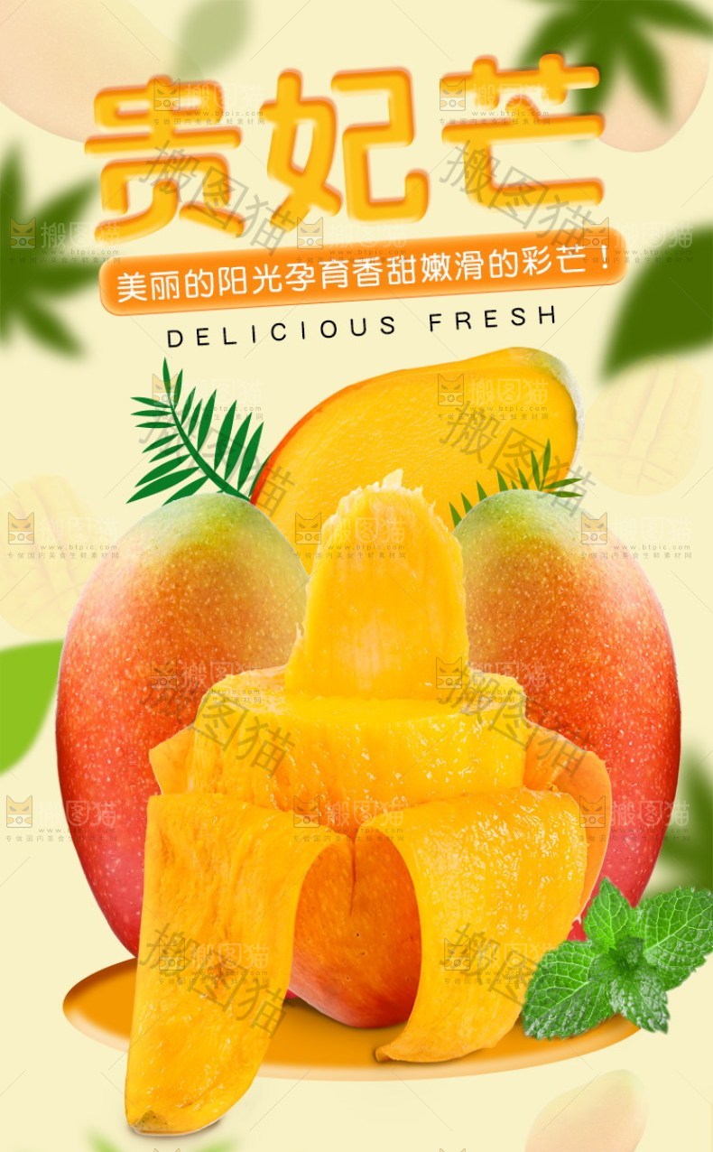 贵妃芒详情