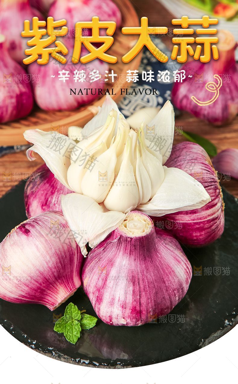紫皮大蒜详情
