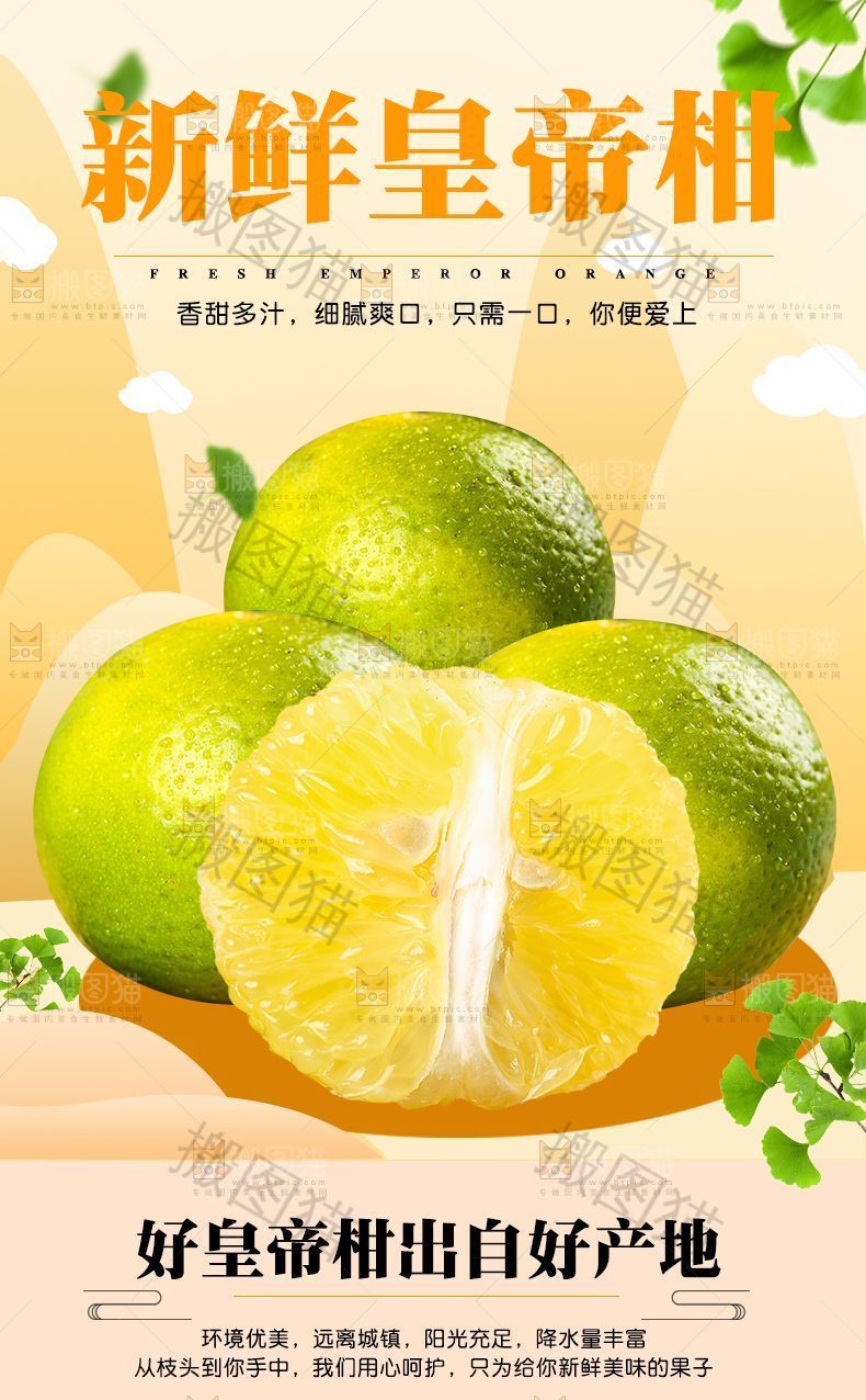 皇帝柑详情页设计