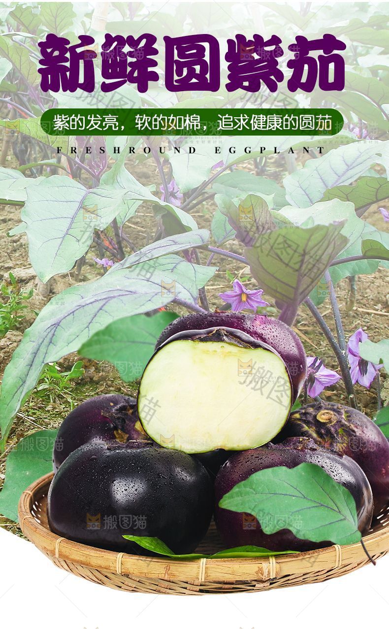 圆紫茄详情页设计