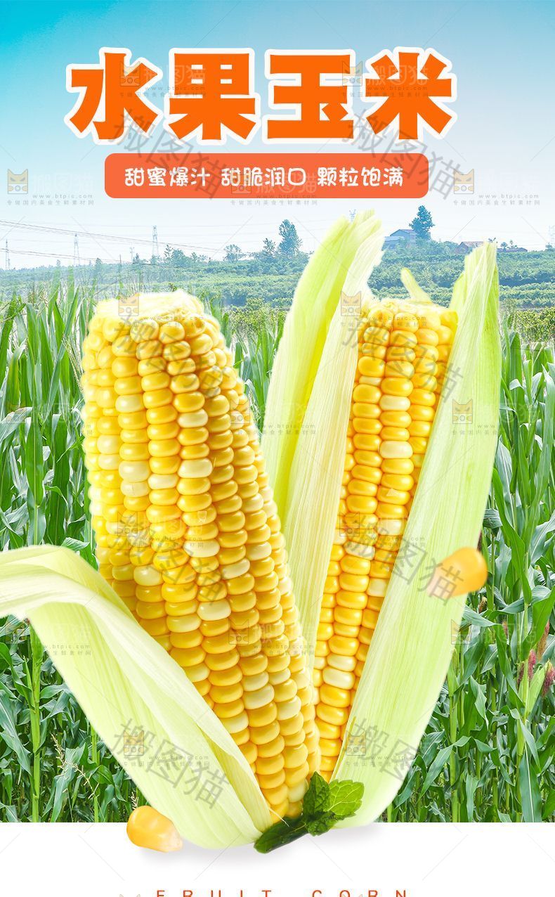 水果玉米详情页设计