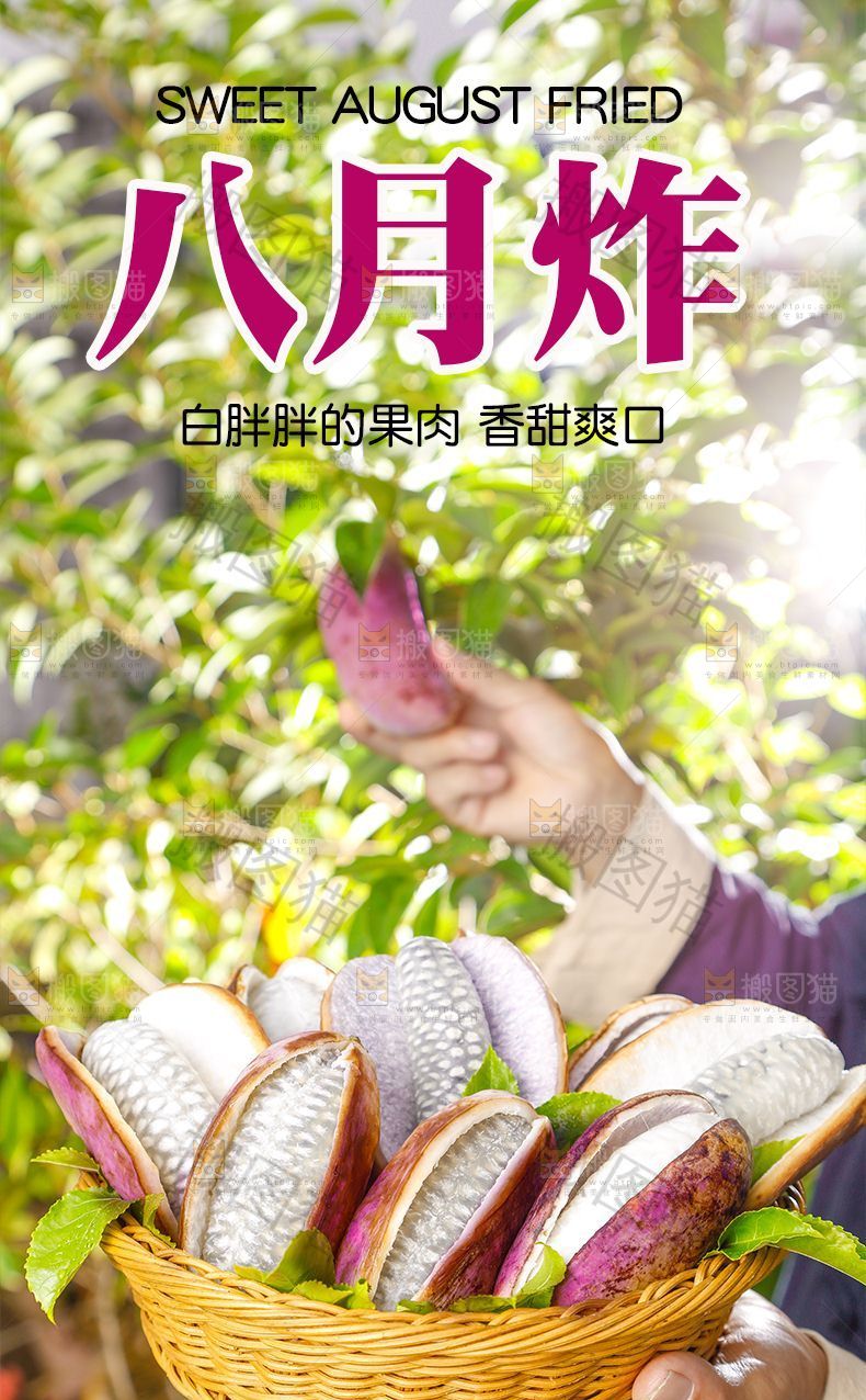八月炸详情