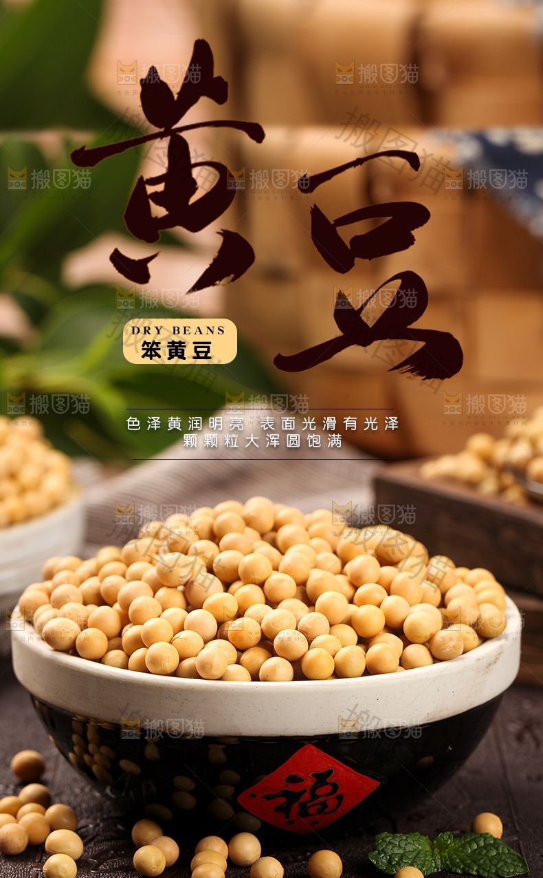 黄豆详情