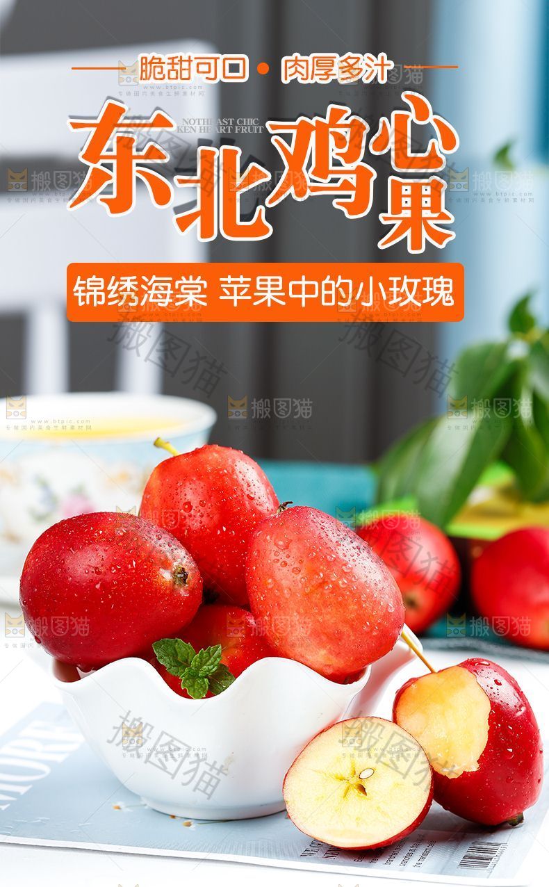 东北鸡心果详情