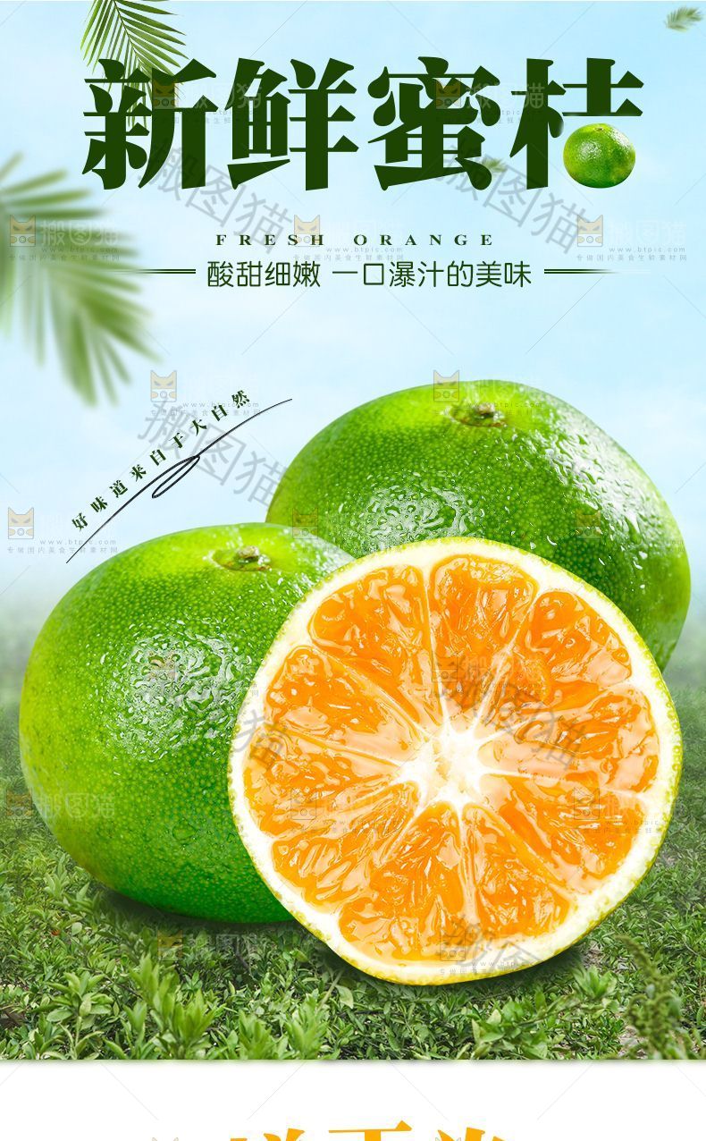 新鲜蜜桔详情页设计