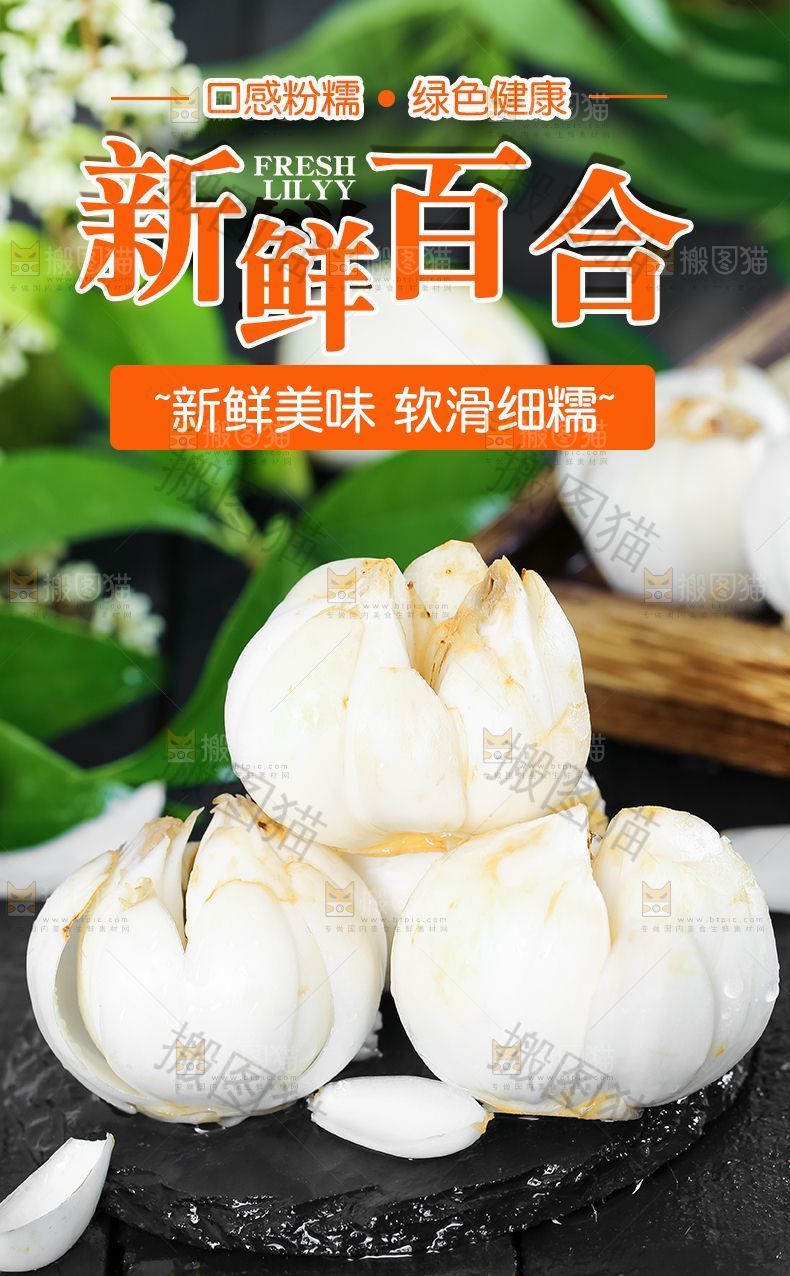 新鲜百合详情