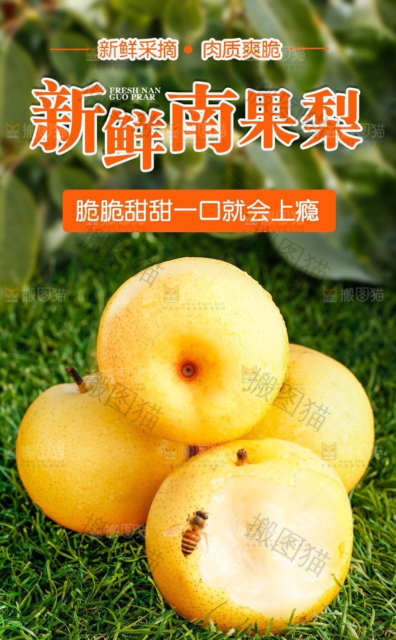 南果梨详情页设计