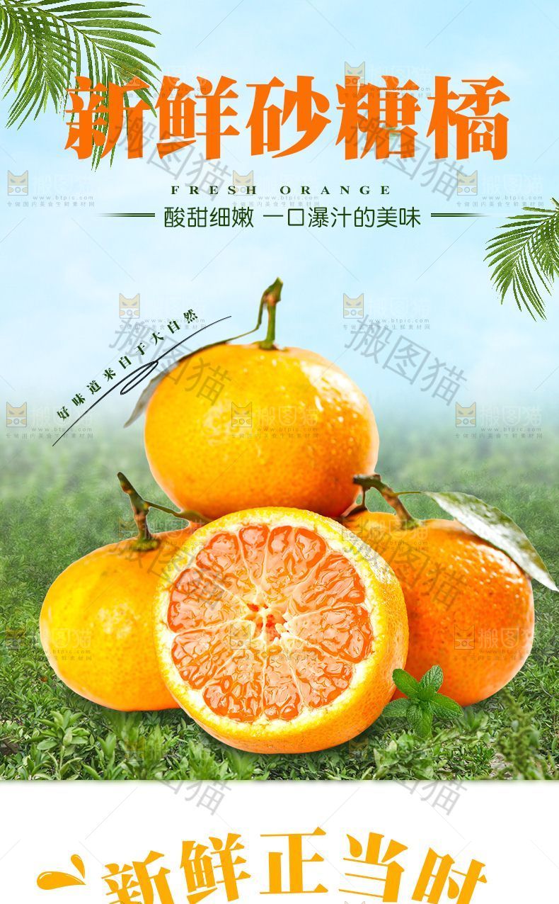 砂糖橘详情页设计