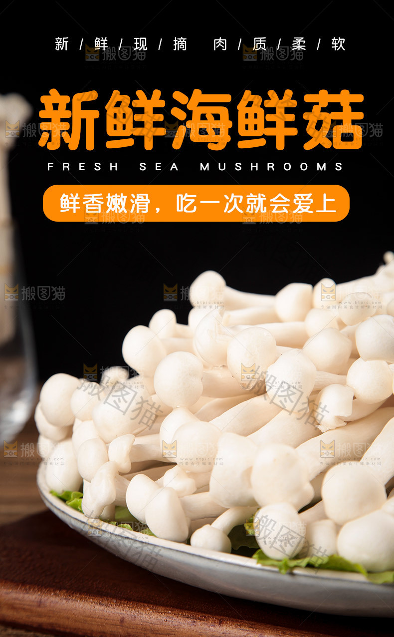 新鲜海鲜菇