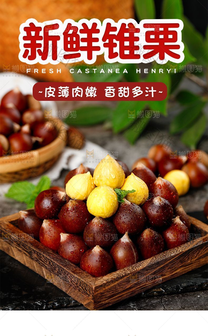 锥栗详情页设计