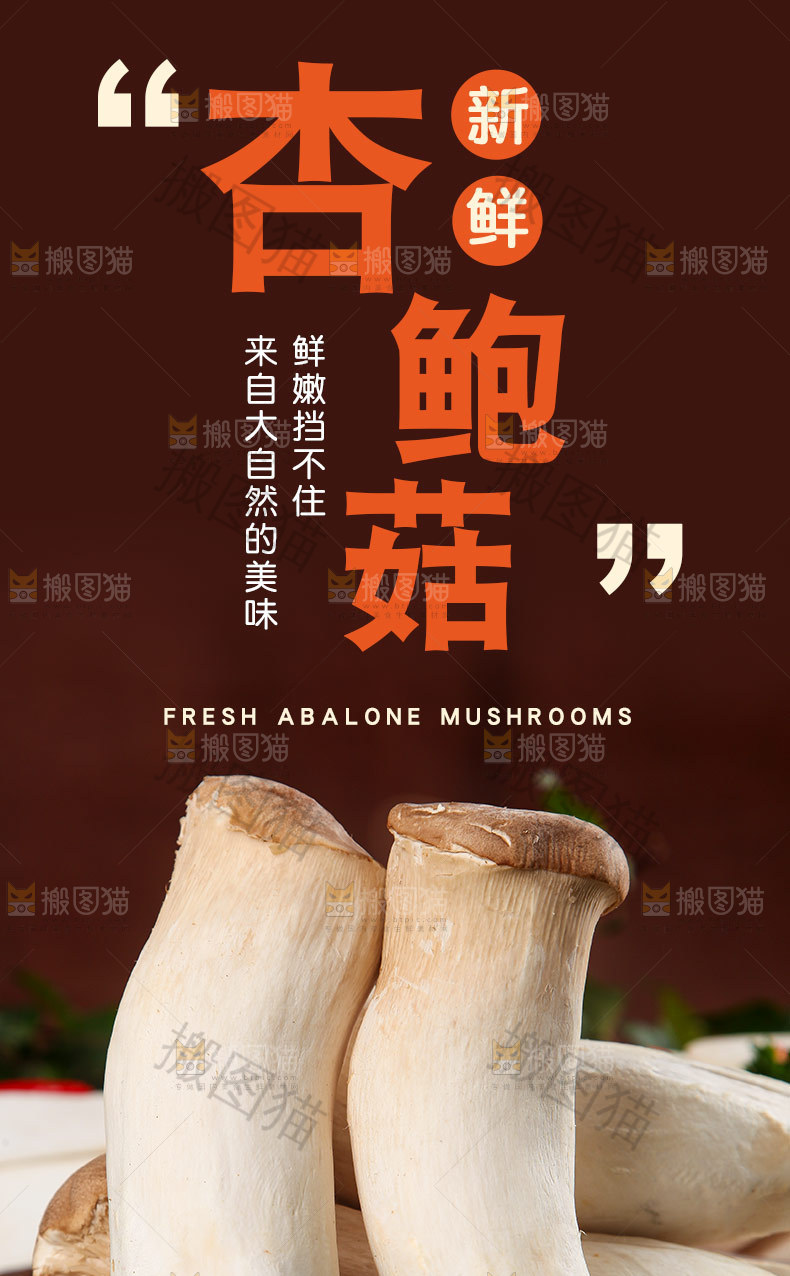 杏鲍菇详情