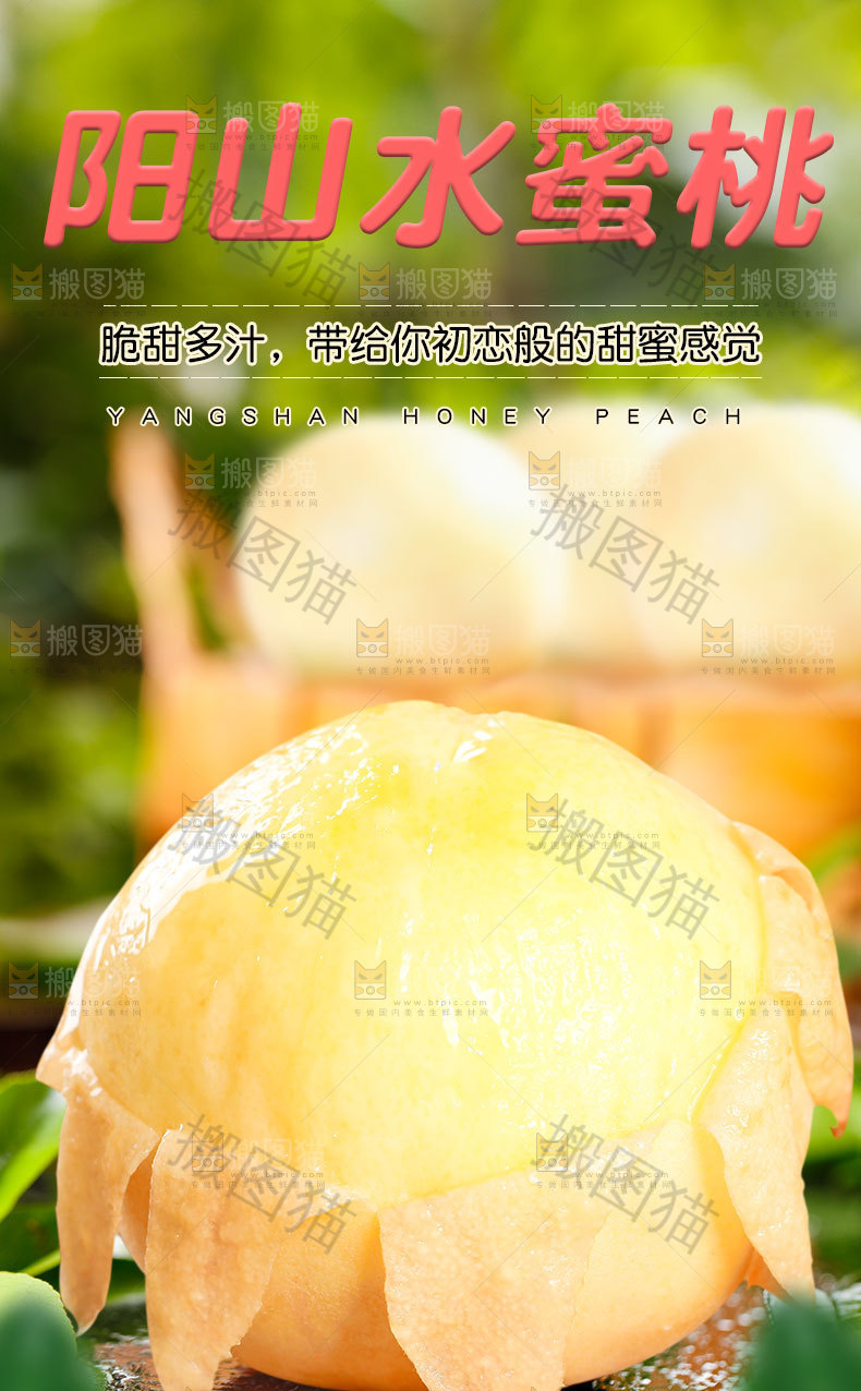阳山水蜜桃详情