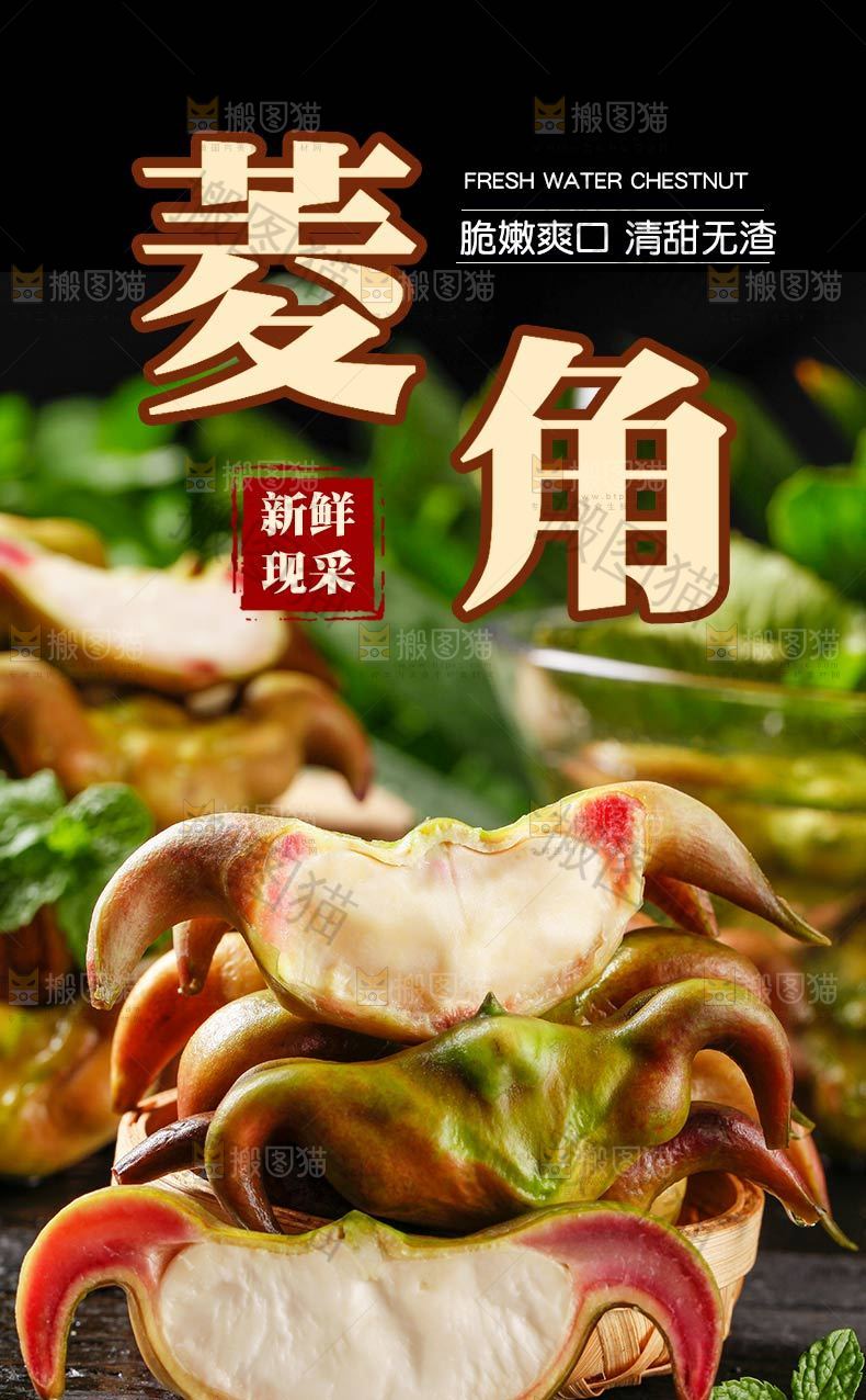 菱角详情