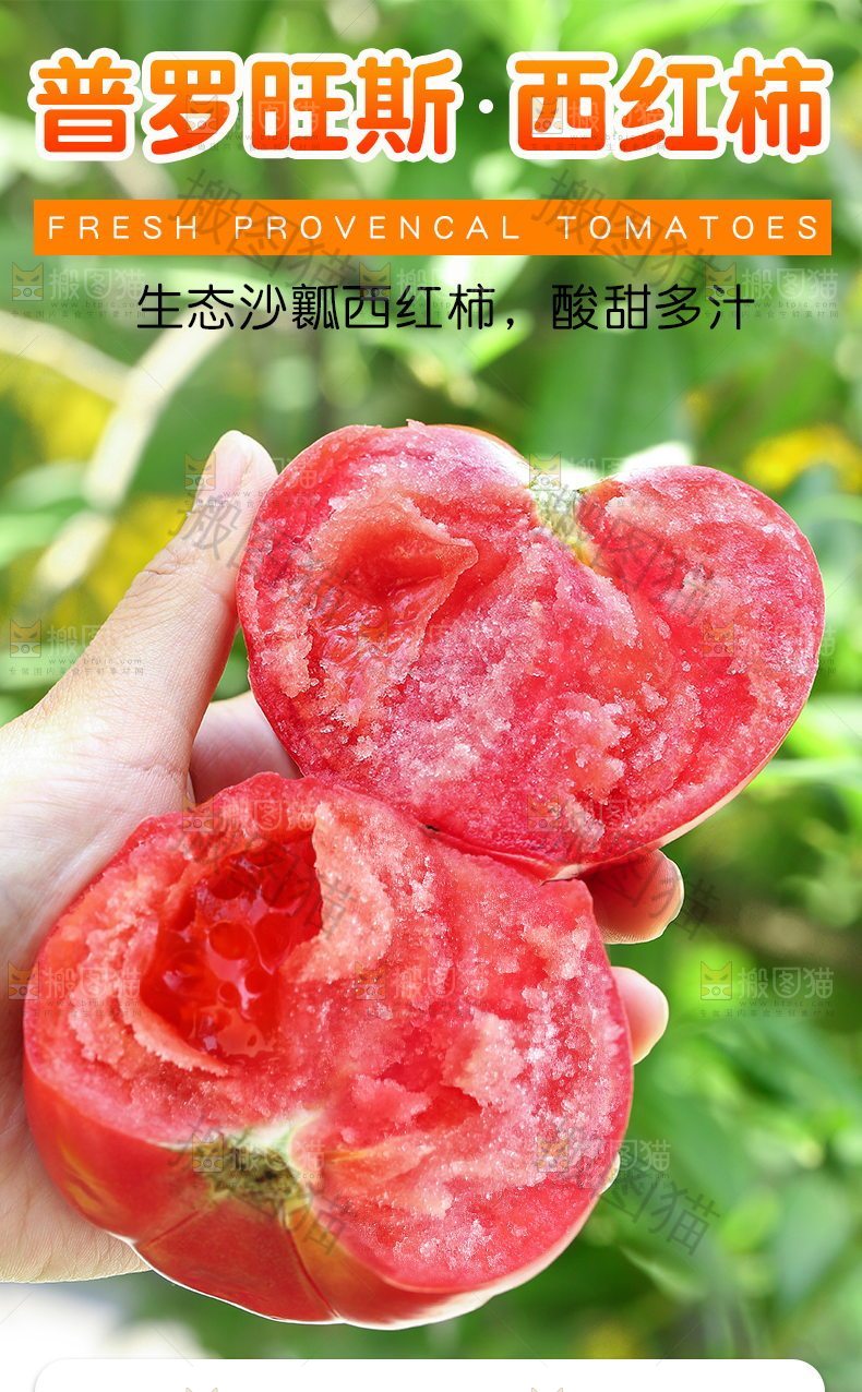 普罗旺斯西红柿详情
